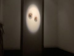 -Dragonfly悠庭·按摩Spa(浦东嘉里城店)