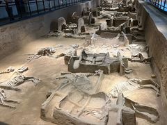 -洛阳周王城天子驾六博物馆