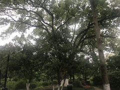 -杭州花家山庄