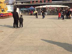 -武汉紫薇都市田园