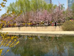 -元大都城垣遗址公园