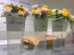 -旧识old mate·烘焙蛋糕店