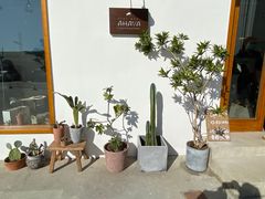 -AHAVA·Fang Baking Studio