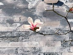 -东华门大街小区