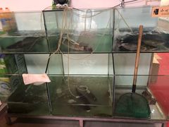 -小小河边鱼·黄辣丁鲜鱼锅(黎阳店)