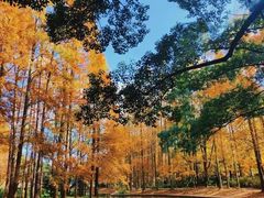 -共青国家森林公园-售票处