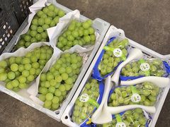 醉金香-西郊国际农产品交易中心