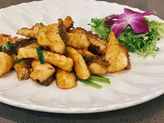-郑猛记石岐鸽主题餐厅(长江店)