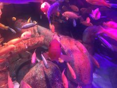 -沈阳海洋探索中心