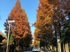 -塔川景区