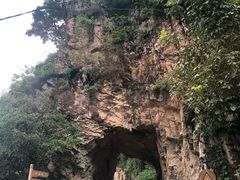 -黑河国家森林公园