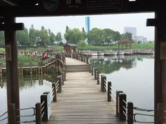 -太湖湖滨国家湿地公园-停车场