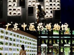 -广东中医药博物馆
