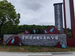 -合肥滨湖国家森林公园