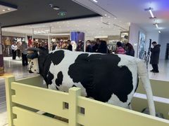 -红星前进面包牛奶公司(君太店)