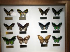 -上海昆虫博物馆