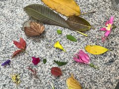 -南国桃园旅游度假区