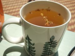 桂花乌龙-有猫主题·治愈系猫咖(曾厝垵店)