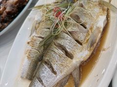 清蒸白水鱼-状元楼(金溪路店)