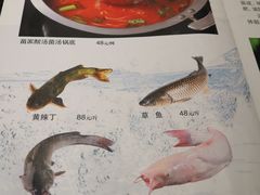 -不老溪贵州菜(广安门总店)