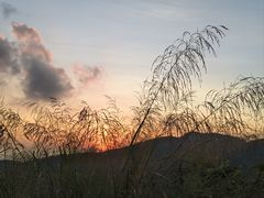 -阳台山森林公园