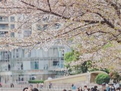 -西北湖绿化广场