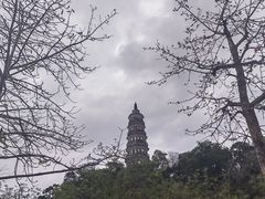 -顺峰山公园
