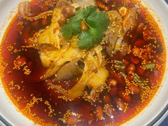 -院8里·少城记忆老川菜(宽窄巷子店)