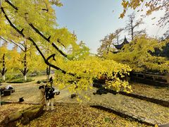 -长兴八都岕景区