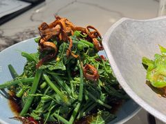 翡翠丝瓜尖-雀蓝川菜(滨湖万象汇店)
