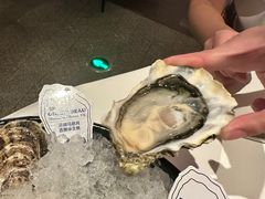 法国粉钻-斯普汇生蚝牛排馆(中骏世界城店)