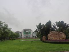 -广东中医药博物馆