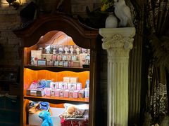 -雪灵魔法世界SHELLY’S TAROT(大良桂畔里店)