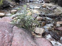 -小五台金河景区