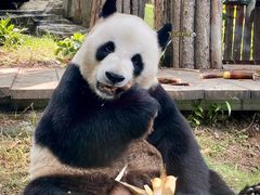 -大连森林动物园