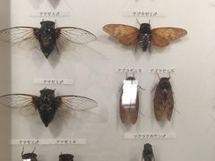 -名古屋城