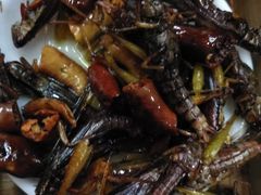 -昆虫窝子·特色云南菜(拓东路总店)