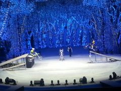 android_upload_pic-灵玲国际马戏城