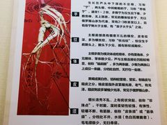 -广东中医药博物馆