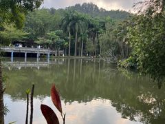 -滴水岩森林公园