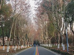 -南京奥林匹克体育中心-体育馆