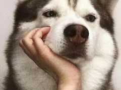 -曲阜师范大学(曲阜校区)