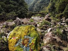 -龙湾潭国家森林公园