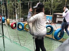 -梦幻奥陶纪景区