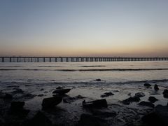 -宝安西湾红树林湿地公园