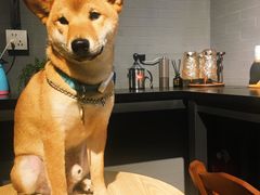 -柚下次·关东煮