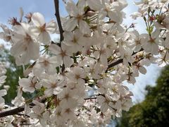 -毛华美食(清扬路店)