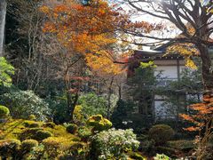 -三千院
