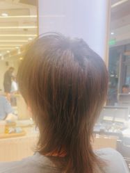 点击看大图 -PE SALON
