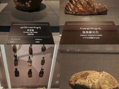 -青海藏文化博物院